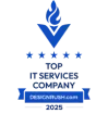 DesignRush Top IT Services Company 2025 badge